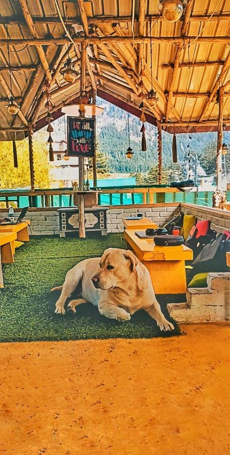The Culture Nation Hostel Manali Luaran gambar